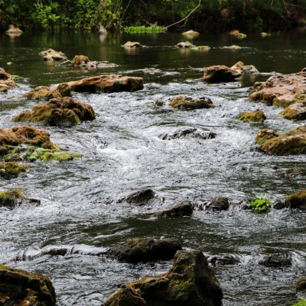 Hillsborough River State Park, parks in Tampa, Tampa parks